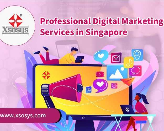 professional-digital-marketing-services-in-singapore