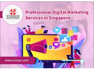 professional-digital-marketing-services-in-singapore-small-0