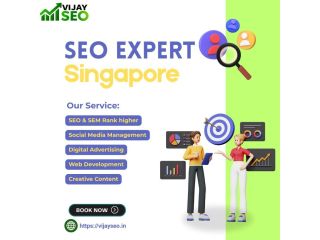 seo-expert-singapore-strategies-small-0