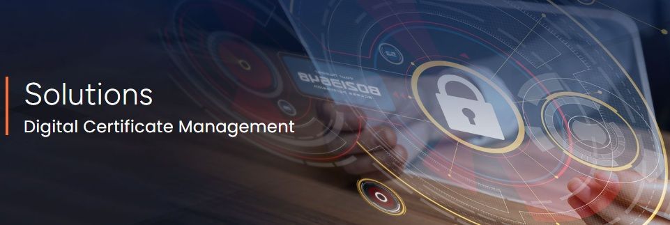 digital-certificate-management-big-0