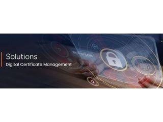 digital-certificate-management-small-0