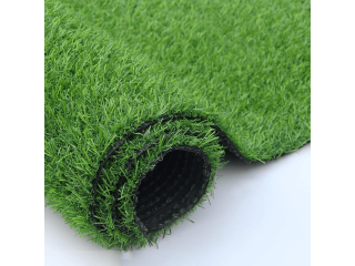 best-carpet-grass-singapore-for-homes-businesses-small-0