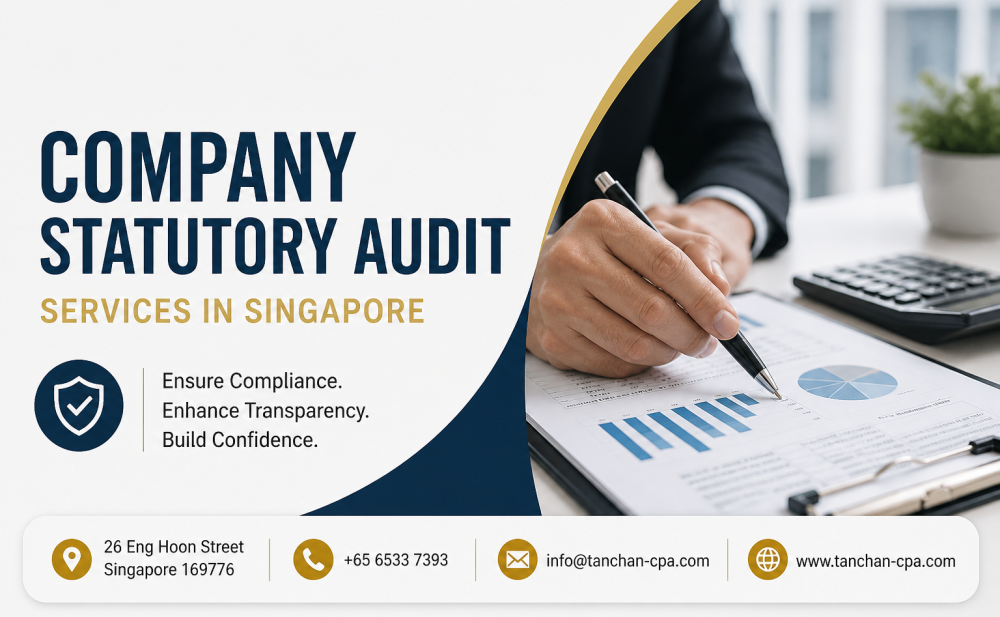 ensure-compliance-with-company-statutory-audit-in-singapore-big-0