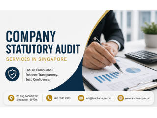ensure-compliance-with-company-statutory-audit-in-singapore-small-0