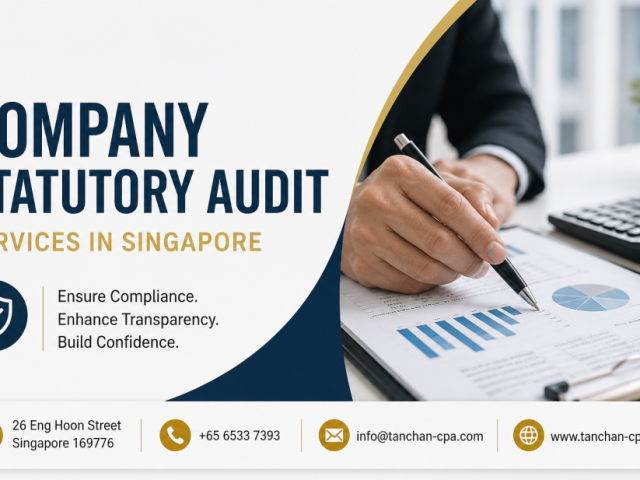 ensure-compliance-with-company-statutory-audit-in-singapore