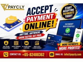 accept-payment-online-start-getting-paid-faster-worldwide-small-0