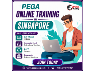 top-rated-pega-online-training-in-singapore-small-0