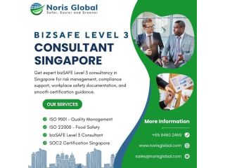 trusted-bizsafe-level-3-consultant-singapore-for-workplace-safety-small-0