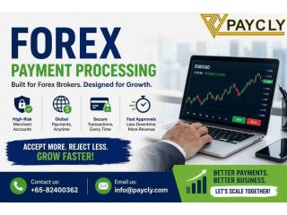 accept-global-forex-trader-payments-without-delays-small-0