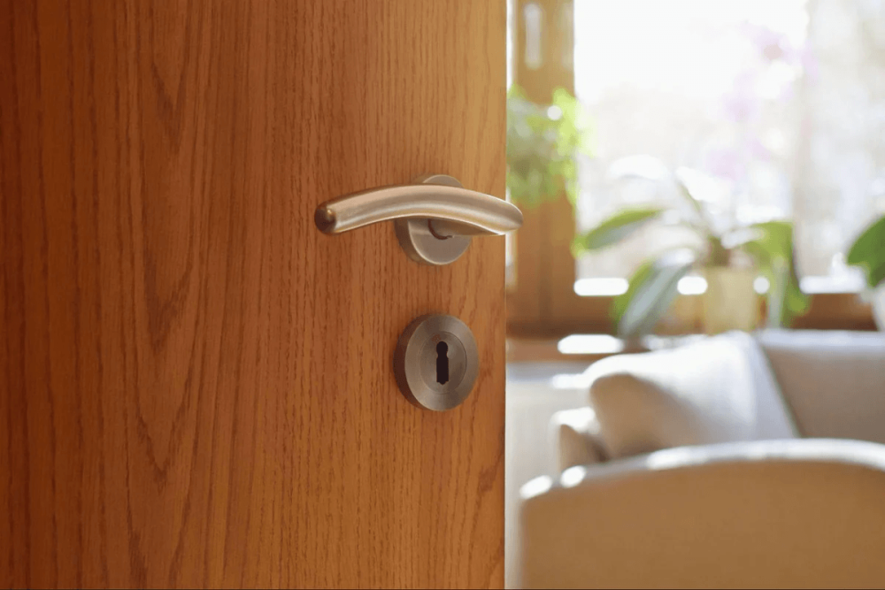 an-digital-lock-premium-fire-rated-door-for-modern-homes-big-0