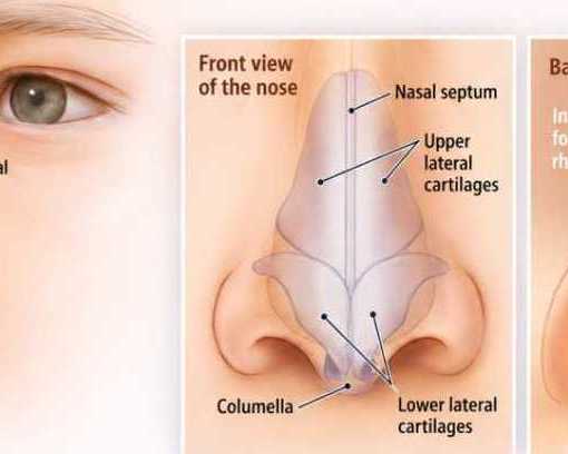 looking-for-nose-plastic-surgery-in-singapore-book-now