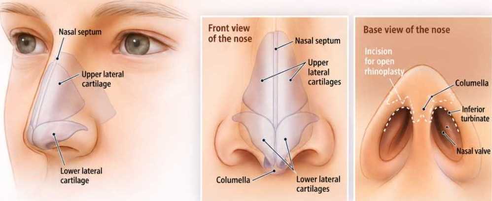 looking-for-nose-plastic-surgery-in-singapore-book-now-big-0