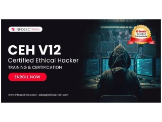 Certified Ethical Hacker Training
