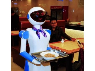 Innovative Hotel Service Robot: Enhancing the Guest Experience