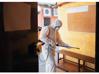 Effective Pest Control Termite Treatment in Singapore