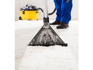 Carpet Carpet Cleaning