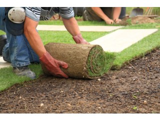 Transform Your Essex Garden with Expert Turfing by Go Green Landscapes