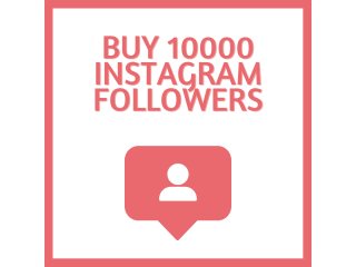 Buy 10000 Instagram follower- Organic