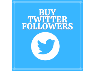 Buy Twitter followers non drop- premium