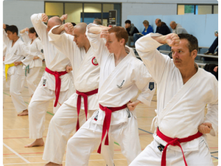 Is Choosing Karate Training and Classes a Best Choice for Adults and Kids?