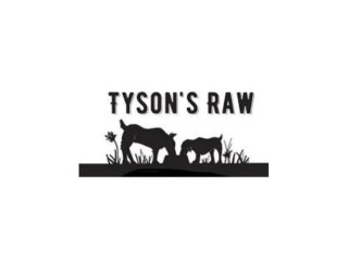 Discover Stylish and Durable Dog Collars at Tysons Raw UK in Hoddesdon!