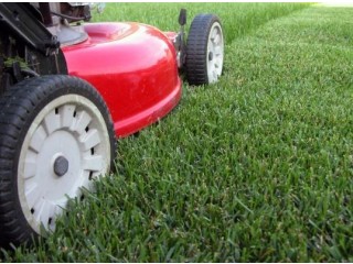Luxury Lawns: Elevating Your Outdoor Space with Premium Lawn Care in West Sussex