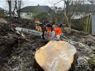 Affordable service for Stump Removal in Cheadle Heath