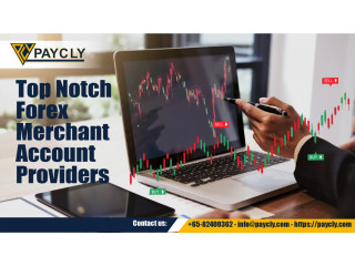 Secure Your Forex Merchant Account with Paycly Today!