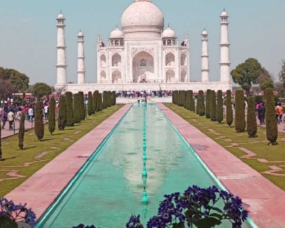 india-tour-packages