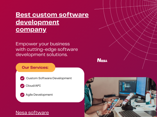 best-offshore-software-development-firm-for-usa-california-nesa-software-big-0