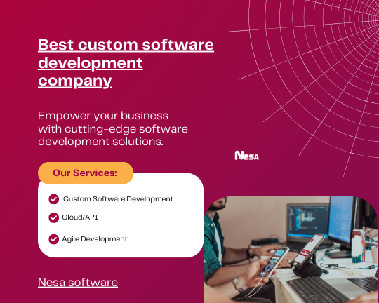 best-offshore-software-development-firm-for-usa-california-nesa-software