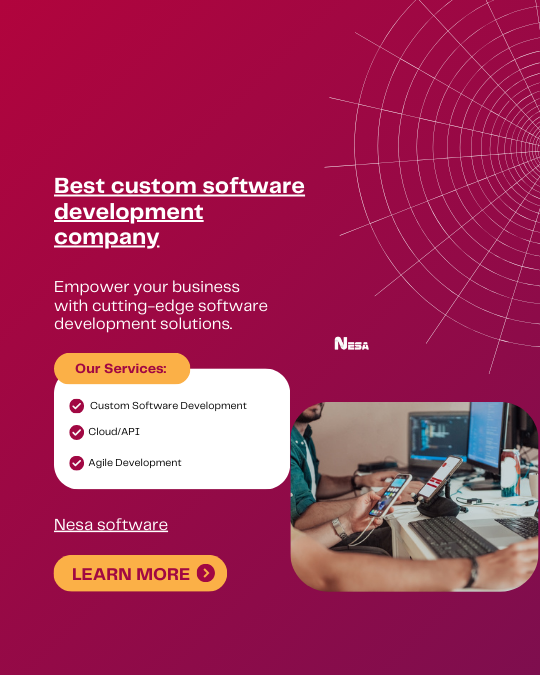 best-offshore-software-development-firm-for-usa-california-nesa-software-big-0