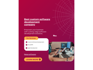 best-offshore-software-development-firm-for-usa-california-nesa-software-small-0