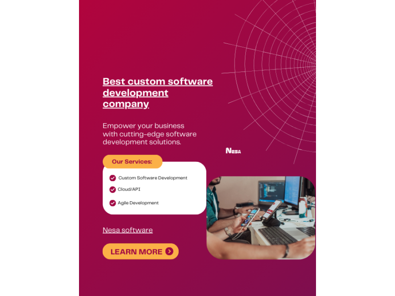 best-offshore-software-development-firm-for-usa-california-nesa-software-small-0