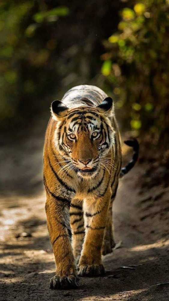 explore-india-a-luxury-travel-big-1
