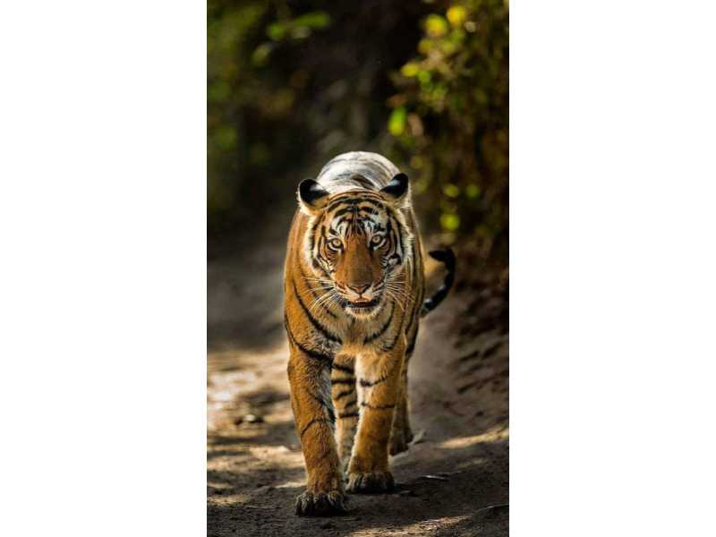 explore-india-a-luxury-travel-small-1