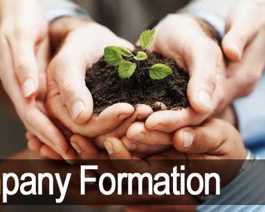 start-your-business-with-ease-company-formation-services-by-mercurius-associates-llp