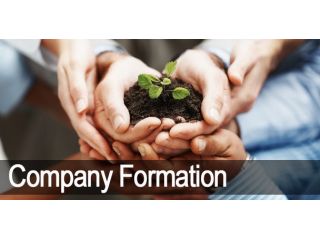 start-your-business-with-ease-company-formation-services-by-mercurius-associates-llp-small-0