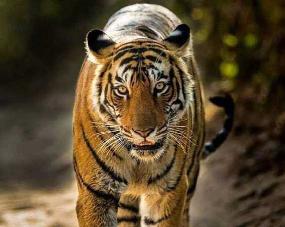 unveil-india-customized-tour-packages-for-every-taste