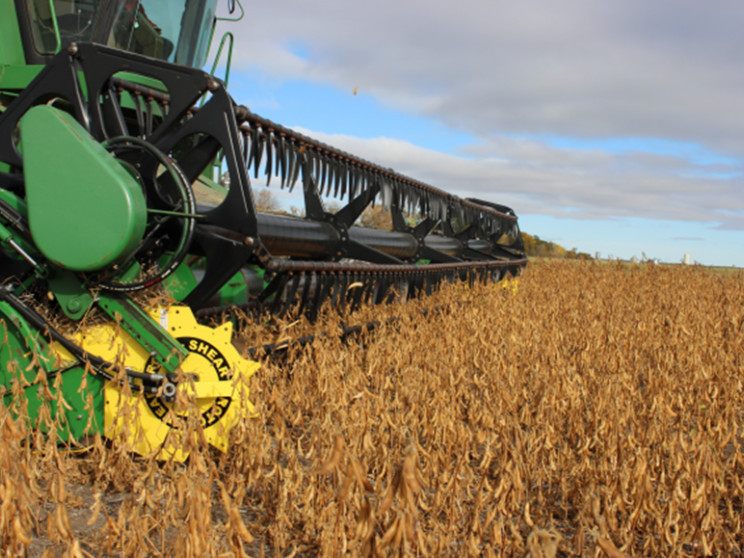 how-to-prevent-soybean-yield-loss-essential-harvest-timing-settings-big-0