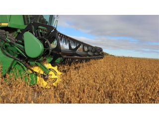 how-to-prevent-soybean-yield-loss-essential-harvest-timing-settings-small-0