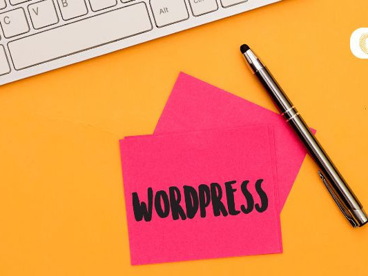 top-rated-wordpress-development-company-in-usa-custom-websites-that-convert-big-0