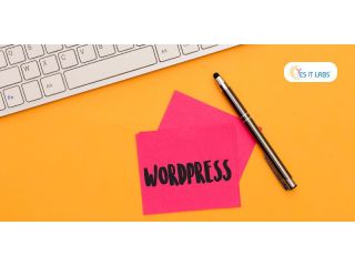 top-rated-wordpress-development-company-in-usa-custom-websites-that-convert-small-0