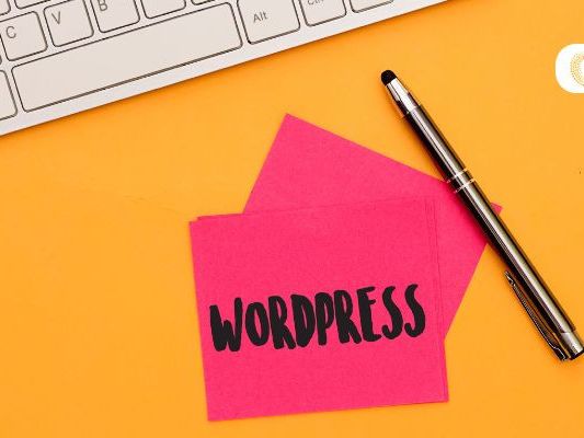 top-rated-wordpress-development-company-in-usa-custom-websites-that-convert