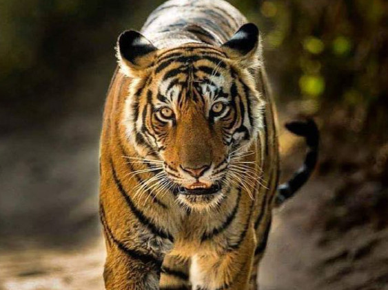 tailored-tour-packages-for-incredible-india-big-2