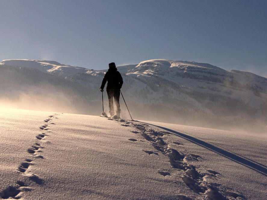 discover-the-beauty-of-trekking-the-majestic-himalayas-big-0