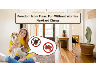 pet-care-club-nexgard-flea-tick-monthly-chew-safe-fast-acting-protection-for-dogs-small-0