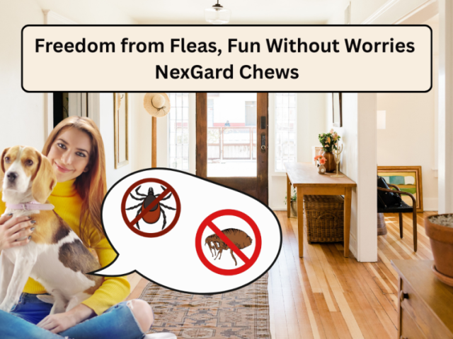 pet-care-club-nexgard-flea-tick-monthly-chew-safe-fast-acting-protection-for-dogs