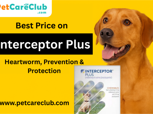 best-price-on-interceptor-plus-for-dogs-heartworm-prevention-protection