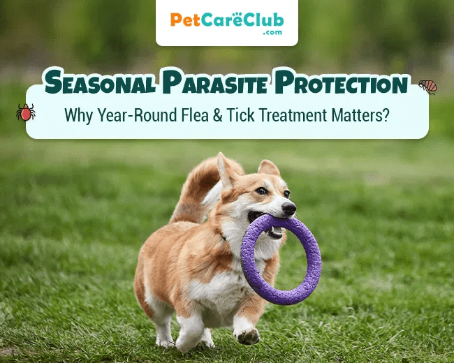 seasonal-parasite-protection-for-dogs-flea-tick-protection-for-dogs